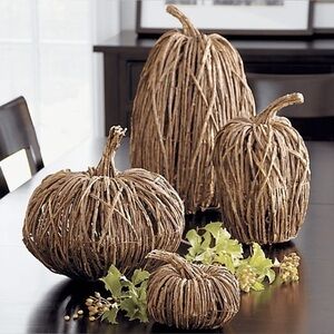 Crate & Barrel Wicker Pumpkin Decor Brown Fall Harvest Rustic Farmhouse Large